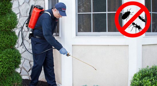 Sason Kemirgen İlaçlama böcek ilaçlama ve haşere kontrolü — ilaclama-tr.com